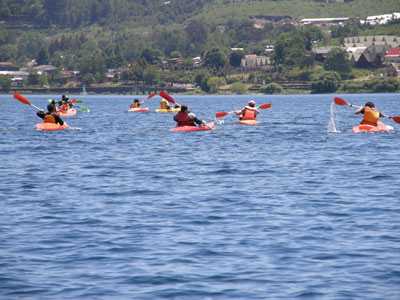 PANGUIPULLI